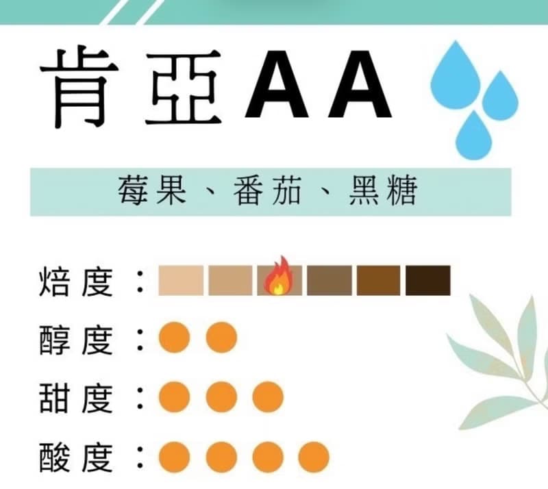 鑠咖啡 肯亞AA FAQ 水洗 淺焙 咖啡豆 自家烘焙 阿拉比卡
