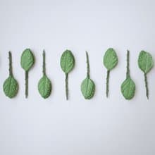 Paper Flower, Gift decoration DIY supplies: 100 pieces, green jasmine leaves