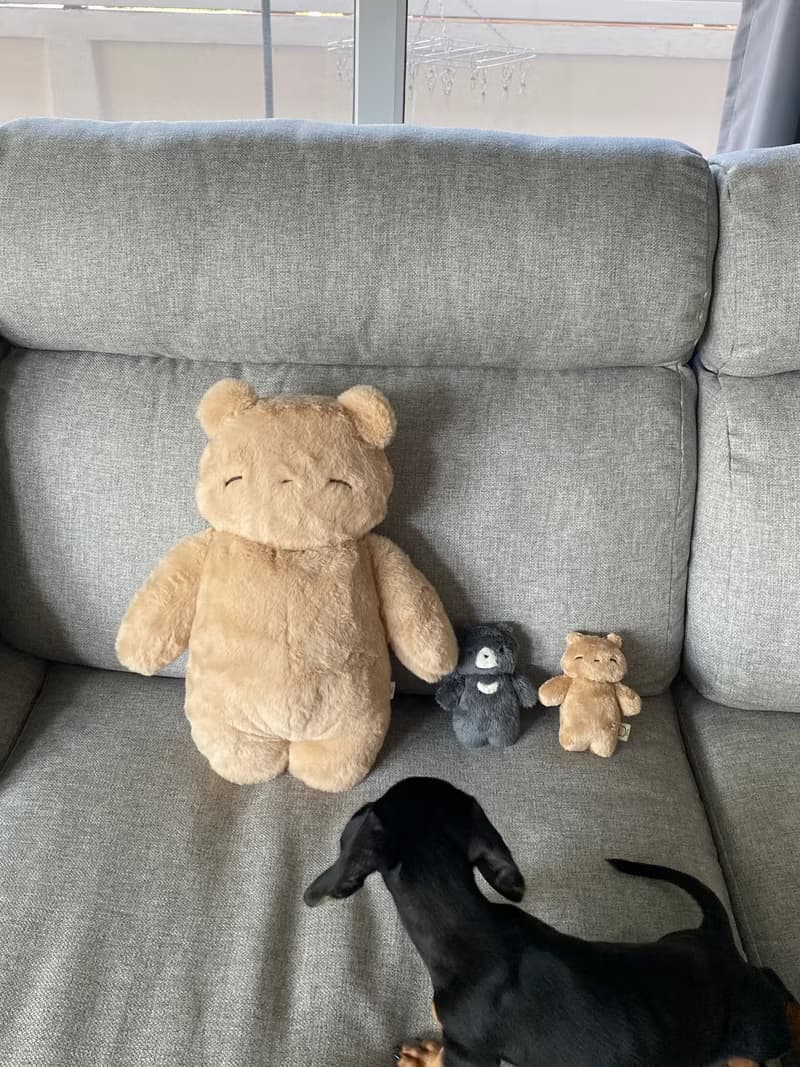 Soft and cuddly teddy bear, 40 cm.