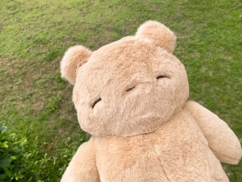 Soft and cuddly teddy bear, 40 cm.