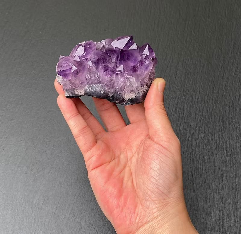 招財開運-天然原皮原礦紫大牙晶簇共生黑碧璽 消磁淨化 快速出貨