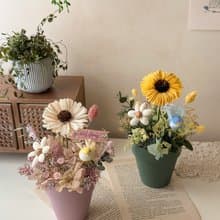畢業 向日葵盆花 小鳥花語 畢業禮物 桌花