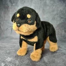 Rottweiler. Realistic dog. Lifelike toy dog. Stuffed dog. Poseable toy.