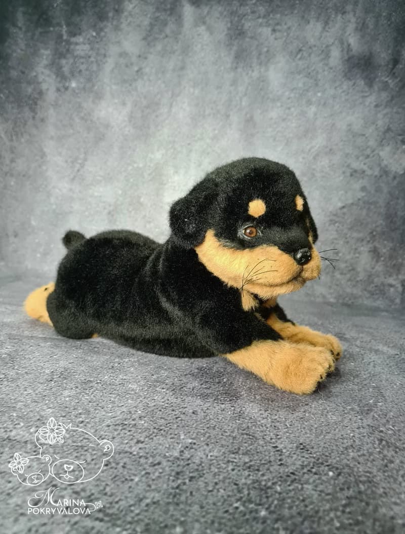 Rottweiler. Realistic dog. Lifelike toy dog. Stuffed dog. Poseable toy.