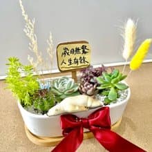 多肉組盆  小熊 日式枯山水 北極熊 滿月送禮 成長的意象 祝福禮