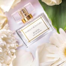 西班牙伊莎貝拉Isabella Signature金合歡(Acacia)淡香精40ml