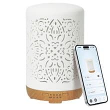 【Earnest Living】 鏤空陶瓷香氛水氧機 AIOT 智能操控 加濕器