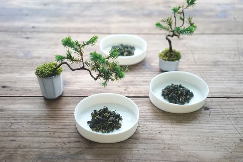 【冷山沁香・極品高山烏龍體驗組】梨山 / 杉林溪 / 阿里山