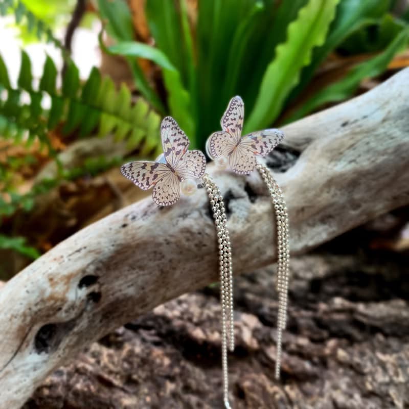 大白斑蝶 項鍊 戒指 手鍊 樹脂 組合 銀飾 禮盒 禮物 蝴蝶 情人節