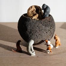 全村的希望 - 山烏龜與動物村民們