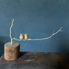 枝頭戀人 小耳朵貓頭鷹