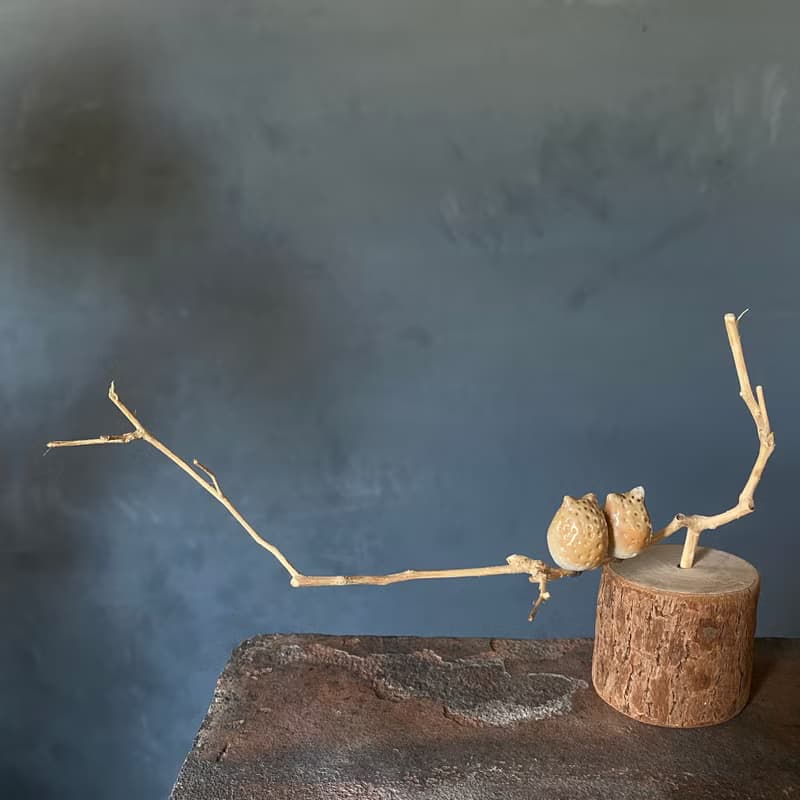 枝頭戀人 小耳朵貓頭鷹