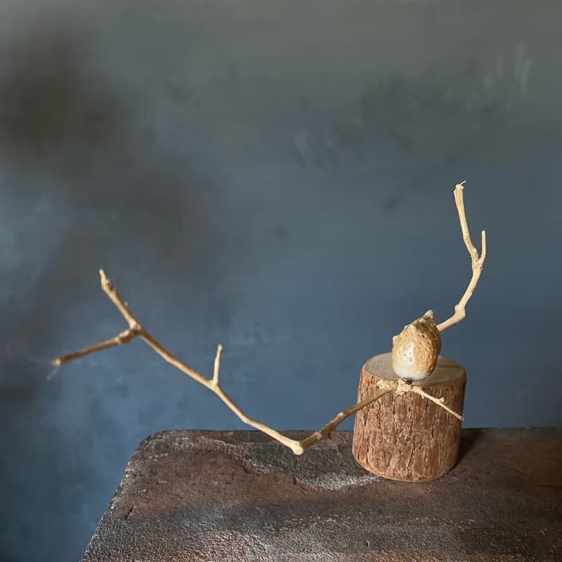 枝頭戀人 小耳朵貓頭鷹