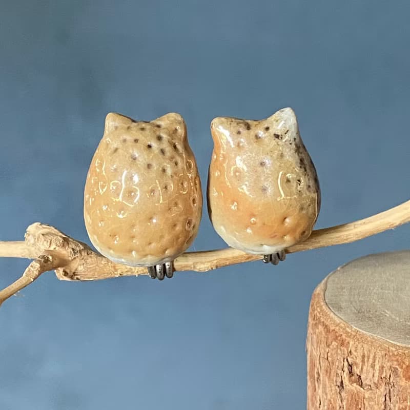 枝頭戀人 小耳朵貓頭鷹