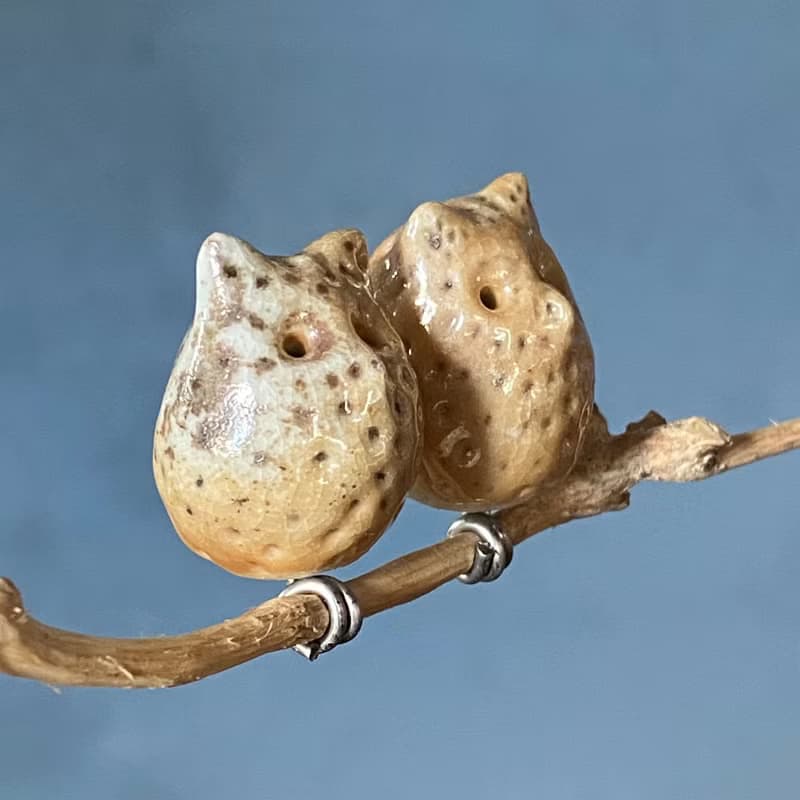 枝頭戀人 小耳朵貓頭鷹