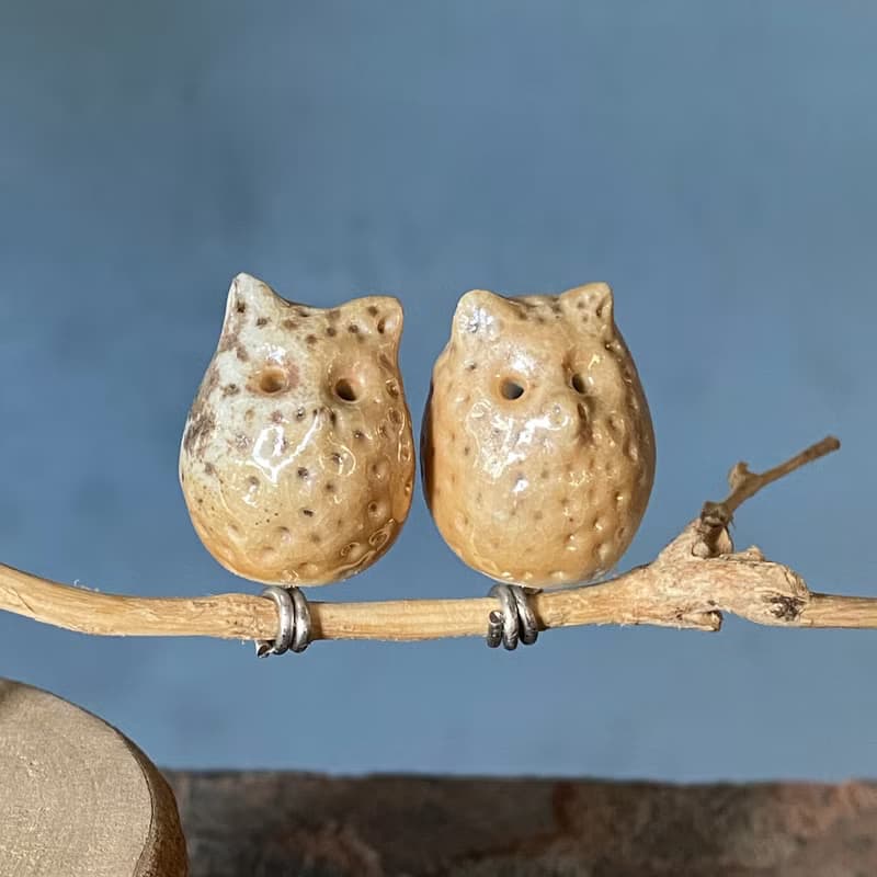 枝頭戀人 小耳朵貓頭鷹