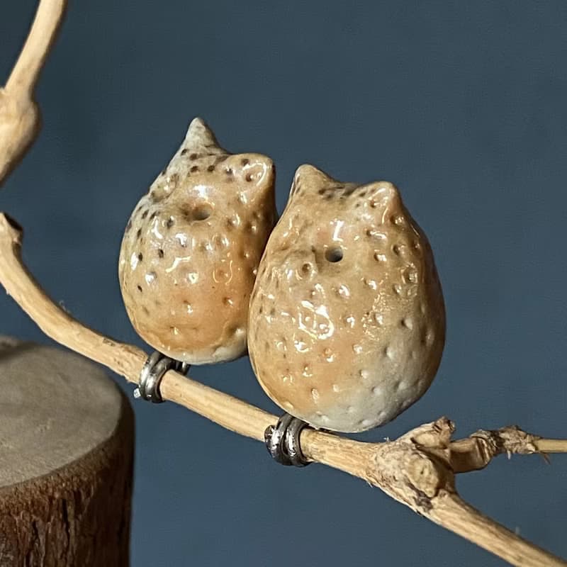 枝頭戀人 小耳朵貓頭鷹