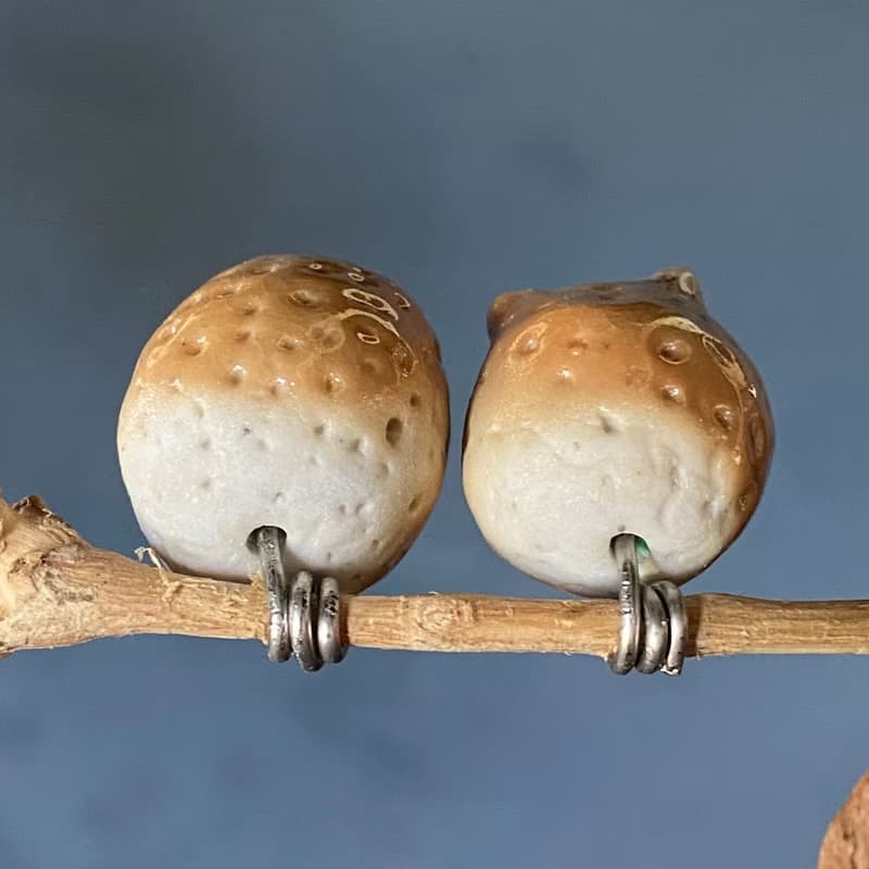 枝頭戀人 小耳朵貓頭鷹