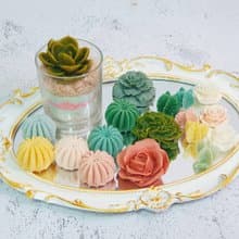 【我是多肉不是肉多】蠟燭材料包/沙畫 仙人掌/多肉植物