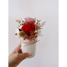 多種顏色 開幕盆花 開幕花禮 入厝禮物 桌花 畢業禮物