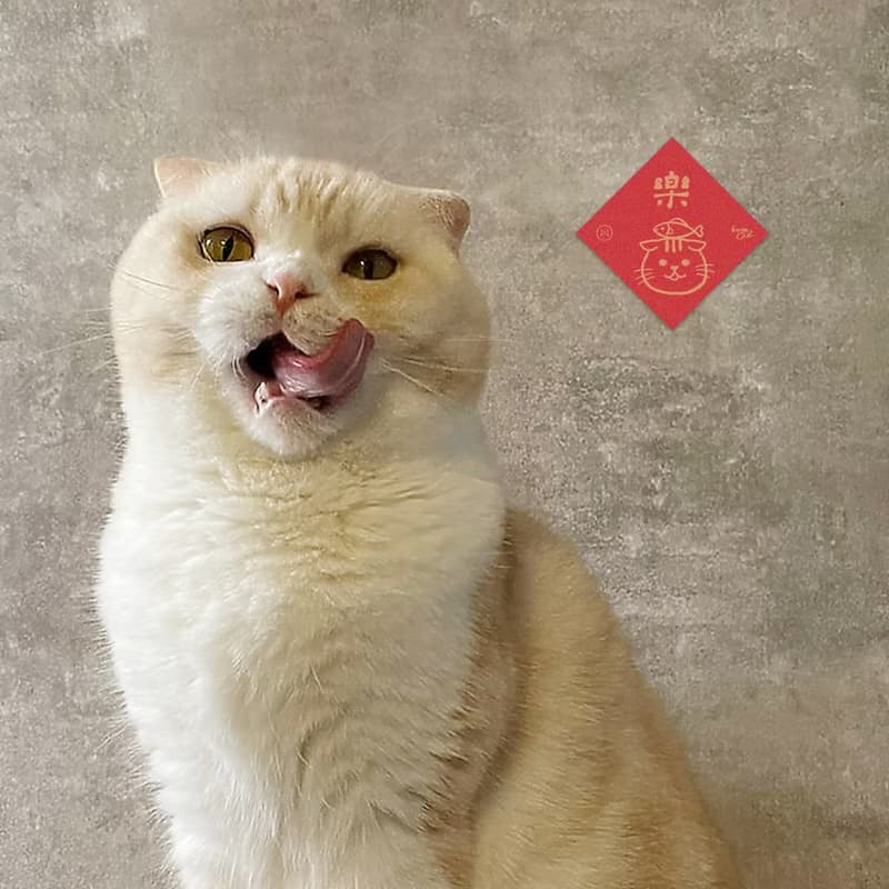 【快速出貨】現貨 | 貓咪燙金美術紙手繪小春聯・自帶背膠・開工