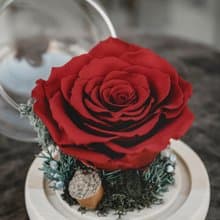 永生紅玫瑰/聖誕禮物/永生花玻璃盅/生日禮物/交換禮物/不凋花禮