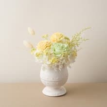 典雅永生玫瑰小盆花 開幕花禮 新居落成 生日禮物 永生花 索拉花