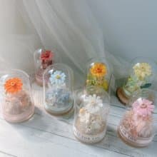 玻璃罩 小雛菊 永生花 生日禮物 閨蜜禮物