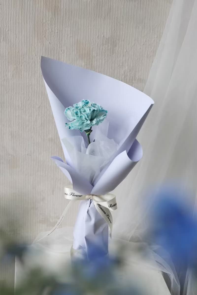 藝術染康乃馨 3色 單朵鮮花束 2025母親節