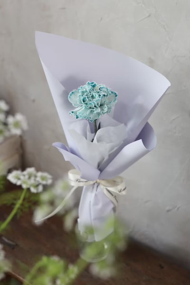 藝術染康乃馨 3色 單朵鮮花束 2025母親節