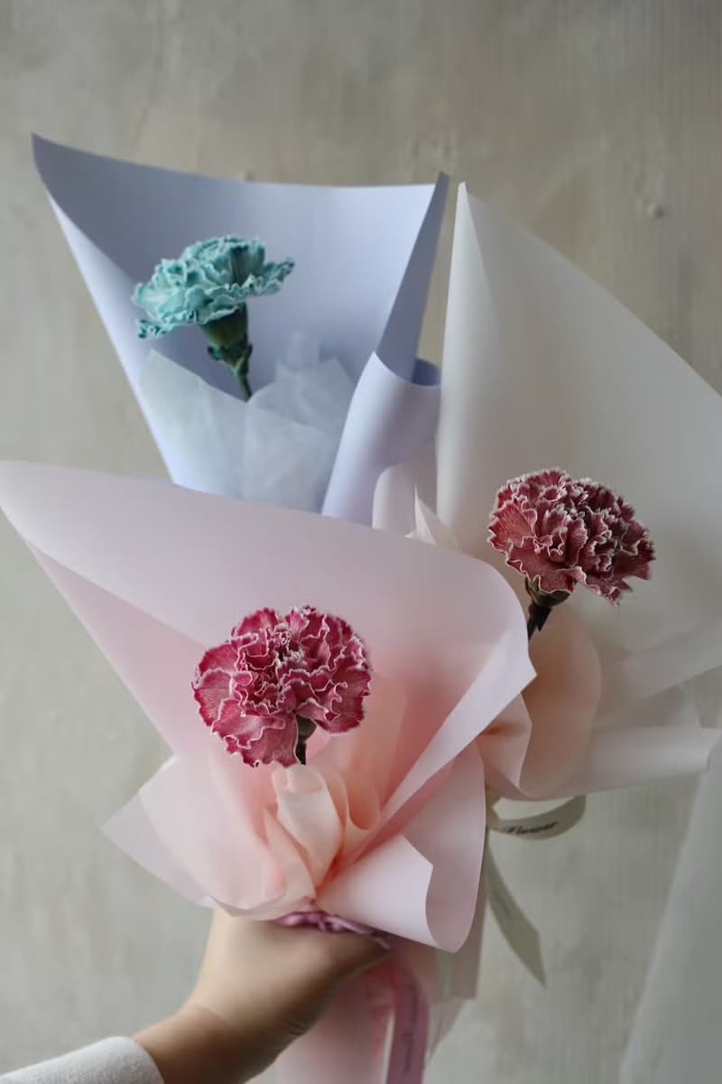 藝術染康乃馨 3色 單朵鮮花束 2025母親節