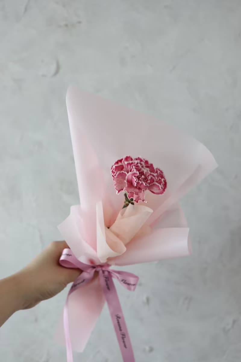 藝術染康乃馨 3色 單朵鮮花束 2025母親節