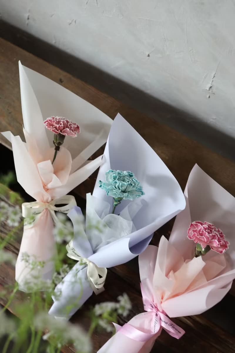 藝術染康乃馨 3色 單朵鮮花束 2025母親節