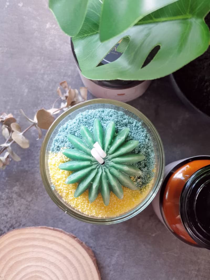 【 DIY 材料包 多肉盆栽蠟燭】韓國香氛 天然植物蠟 親子DIY手作