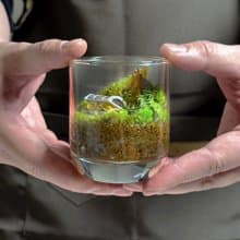 森林祕寶 / 超迷你掌上型手工微景觀生態盆