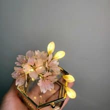 【沾浸藝術•玻璃飾盒】櫻花。小夜燈。生日禮物