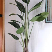 人造植栽/仿真旅人蕉/仿真植物/綠化/永不凋零