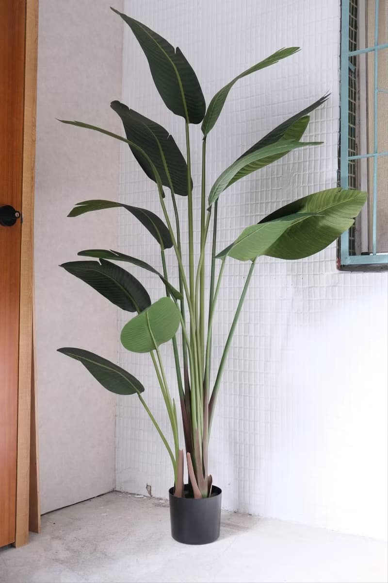 人造植栽/仿真旅人蕉/仿真植物/綠化/永不凋零
