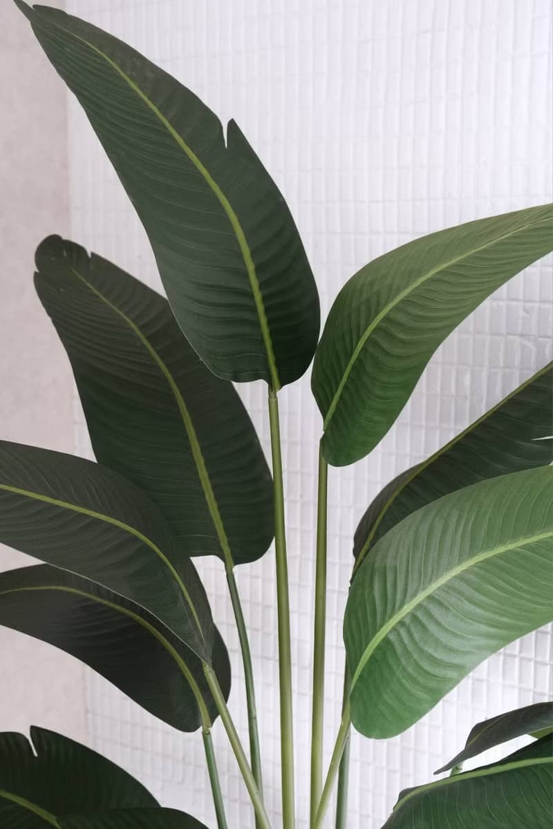 人造植栽/仿真旅人蕉/仿真植物/綠化/永不凋零