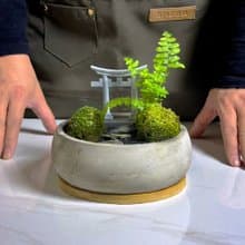 自然苔玉美學 – 靜徑