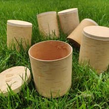 Birch bark box, birch bark canister, tea box