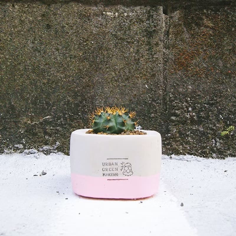 UGM方型清水模盆器 / 粉(M)