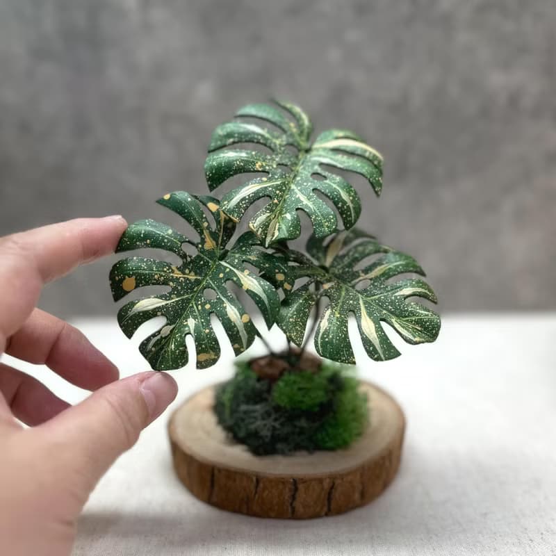泰斑龜背芋－手工革製植物  地植系列