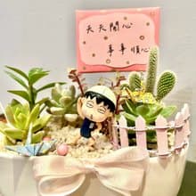 櫻桃小丸子 慶祝游泳比賽得獎 日式 多肉組盆 多肉植物 游泳丸子
