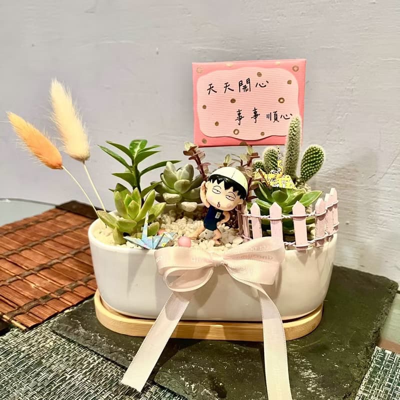 櫻桃小丸子 慶祝游泳比賽得獎 日式 多肉組盆 多肉植物 游泳丸子