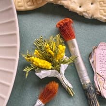 Miniature bouquet of mimosa