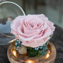 聖誕禮物/夜燈/永生花玻璃盅/生日禮物/交換禮物/永生玫瑰/不凋花