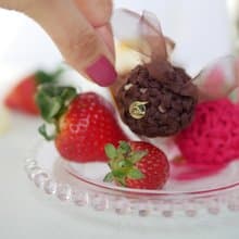 ポニークリップ || チョコ ||