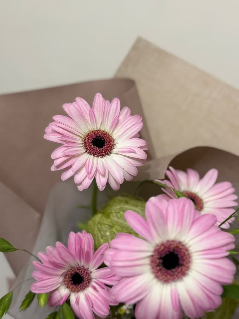 太陽花花束 畢業花束 粉色花束
