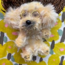 戴眼鏡的金毛犬 站著10cm-毛根扭扭棒手作/玩偶公仔毛料娃娃